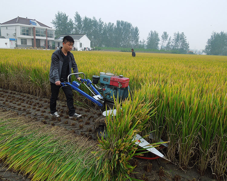 自動(dòng)水稻收割機(jī) 小型